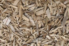 biomass boilers Ruthven